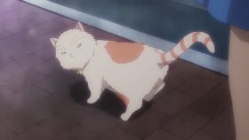 Tada-kun wa Koi wo Shinai ตอนที่ 1 17