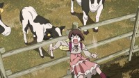 shirobako 24 (2)